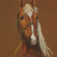 Portrait of Chestnut, pastel, 70x100 cm